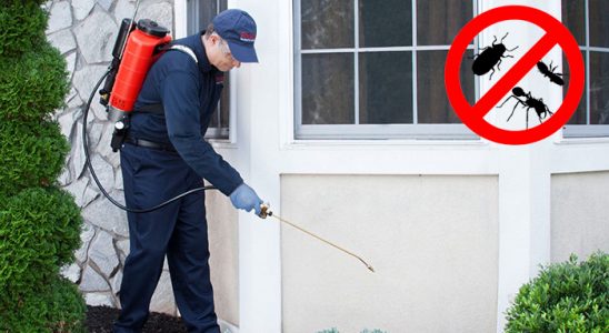 Kadirli Akrep İlaçlama böcek ilaçlama ve haşere kontrolü — ilaclama-tr.com